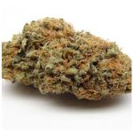 Шишки AK47 (Гидропоника, Бошка) VHQ в Губкине Шишки AK47 (Гидропоника, Бошка) VHQ в Губкине