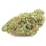 Шишки OG Kush (Гидропоника, бошки) VHQ в Губкине Шишки OG Kush (Гидропоника, бошки) VHQ в Губкине